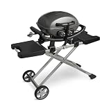 BURNHARD Tragbarer 2-Brenner Gasgrill WAYNE inkl. Rollwagen, 3,5 kW bis zu 300°C Kompaktgrill mit Aludruckguss Brennkammer inkl. Abdeckhaube, Gusseisen Grillrost, 2 Edelstahlbrenner mit Piezozündung