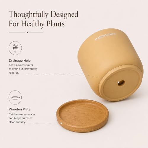 Image of Habere India-All the Cultures Fabricating India Plant Pot with Wooden Plate | Flower Pots for Dining Table & Home Decor | Terracotta Pot for Living Room Decoration (Beige, Dia11 x H10 cm)