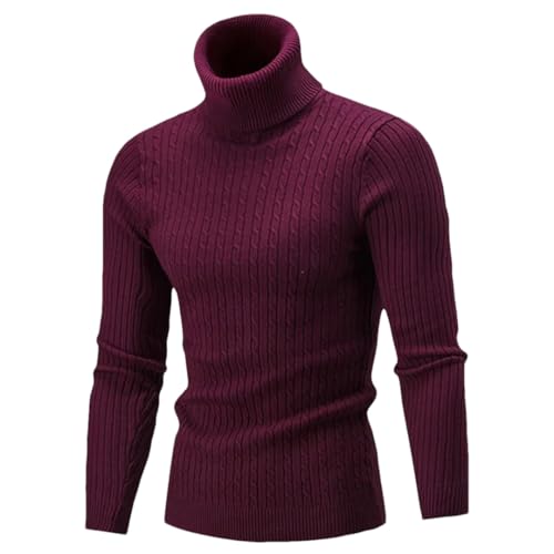 Men's Autumn Winter Turtleneck Sweater Warm Slim Fit Casual Knitting Pullovers