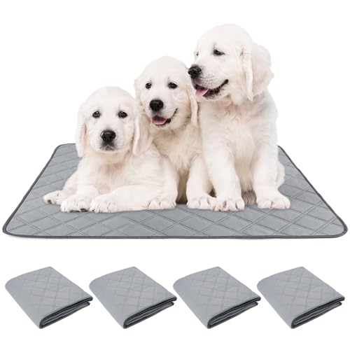 Image of Patience Washable Puppy Pads for Dogs - Reusable 18 inch x 24 inch Potty Pads with Waterproof Bottom for Training and Incontinence