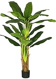 VIAGDO Artificial Banana Tree 6ft Tall 22 Large Leaves Triple Stalk Faux Banana Silk Tree Artificial Banana Leaf Plant for Home Decor Indoor Travelers Palm Tree for Living Room Decoration