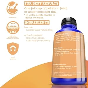 All-Natural Horse Dental Health Support – Maintains Strong, Healthy Teeth & Bones – Dental Supplements for Horses – Homeopathic & Highly Effective – 300 Tablets