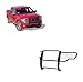 Black Horse Grille Guard Modular Black Compatible with 2009-2014 Ford F-150-17FP30MA