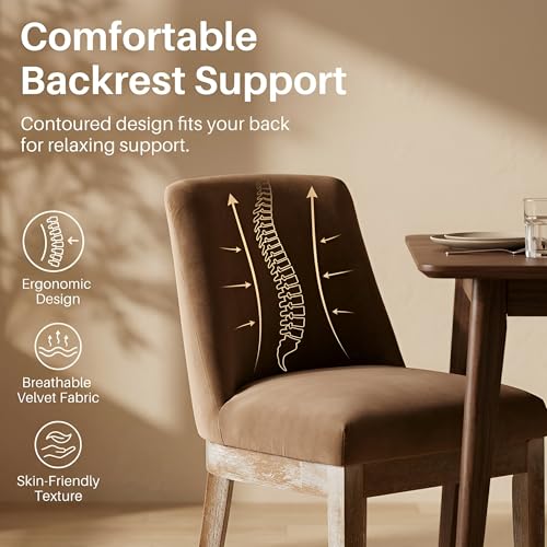 Image of HNY Modern Dining Chairs Set of 4 with Comfortable Back Support, Farmhouse Soft Velvet Upholstered Kitchen Dining Room Chairs with Solid Wood Legs, Armless Accent Side Chairs for Living Room, Khaki