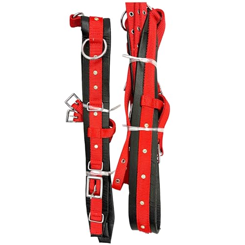 Kayfcrafts Red and Black Nylon Horse Driving Harness with Star Studs and Sparkling Stones Complete Single Horse Driving Set with Padded Comfort and Chrome Fittings (Cob)