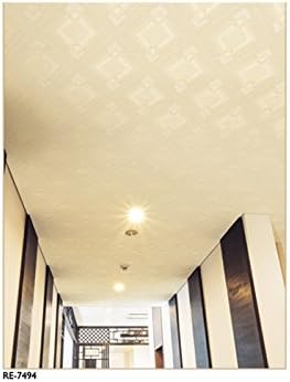 Amazon 壁紙 天井 Re 7494 サンゲツ リザーブ Diy 工具 ガーデン Amazon 壁紙 天井 Re 7494 サンゲツ リザーブ Diy 工具 ガーデン