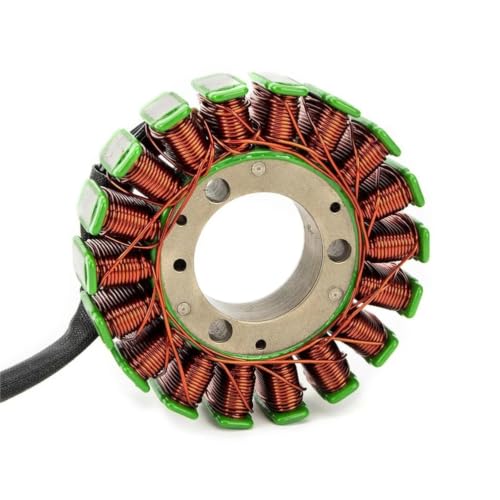 Estátor 21003-1211 de cobre premium con núcleo laminado de alta precisión 5