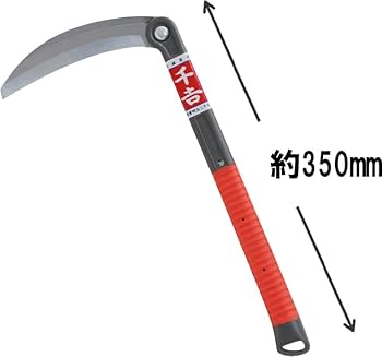 ずぅ スポルディング（SPALDING）（レディース）バスケットボール 6号