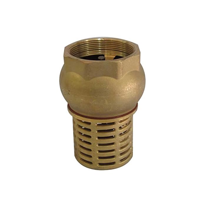 Buy 1" BSP European Thread Female Check Foot Valve Suction Brass Non