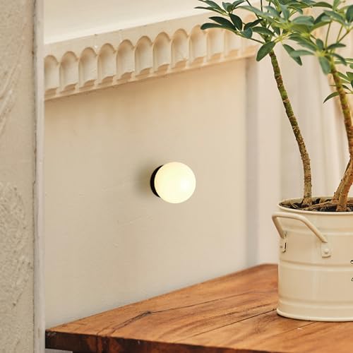 MotoM uPbgCg 1 6.5cm󃉃v k a KX uPbgƖ ǕtƖ ǃCg EH[Cg    Vv LED ledCg G9 d Lb` rO _CjO  V GKg N