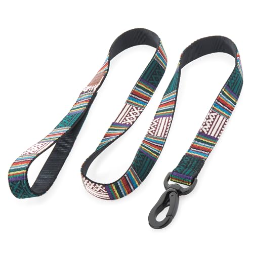 Embark Adventure Padded-Handle Nylon Dog Leash, 5 ft