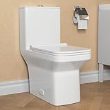 One Piece Toilet, DeerValley DV-1F0071 Modern Elongated Toilet Power Dual Flush 1.1/1.6 GPF Toilet for Bathroom 12' Rough in Rectangular Bowl, 1000g MaP