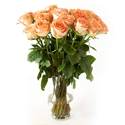 Orange Roses Flower Bouquet - Beautiful Orange Roses Delivery - Luxury & Fresh Roses - Birthday & Anniversary Roses - Any Occasion (No Vase) (48 Roses)