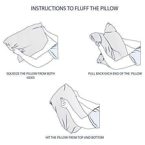 Craftsworth Pillow Insert 24X24 Inches Set Of 2|Insert For Pillow Covers|Throw Pillow Inserts|Cushion Insert|Bed & Couch Pillows|Indoor Decorative Pillows|Lightweight Poly Cotton Insert|Sham Stuffe #TOP4