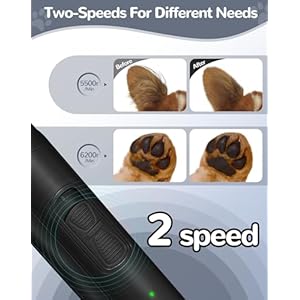 LEYOUFU Dog Clippers for Grooming, 2 Speed Dog Paw Trimmer with LED Light, Rechargeable Low Noise Pet Shaver for Trimming Dogs Cats Hair Around Paws, Eyes, Ears, Face, Rump (Black) LEYOUFU Dog Clippers for Grooming 2 Speed Dog Paw Trimmer with LED Light Rechargeable Low Noise Pet Shaver for Trimming Dogs Cats Hair Around Paws Eyes Ears Face Rump Black