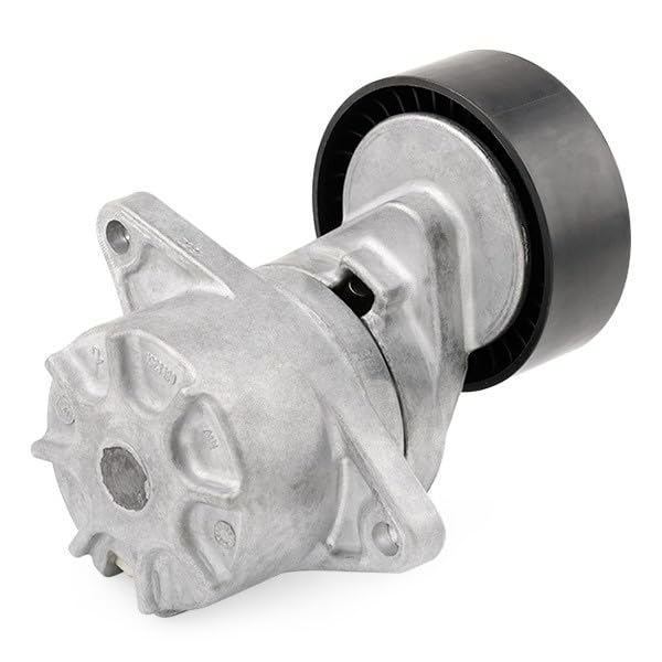 534 0014 10 INA Tendeur, Courroie Poly-V pour Audi, Skoda, VW, VW ( FAW