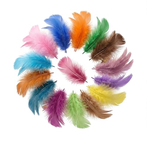 1500 Pcs Premium Colorful Feathers Bulk – 15 Assorted Colors (100/Pack) –Feathers for crating， Natural Soft Craft Feathers for DIY Dreamcatchers, Wedding...