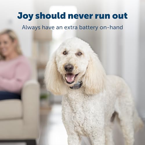 petsafe module pile au lithium 3 volts multicolor