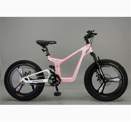 マウンテンバイク 22インチ 子供」の人気商品一覧 | 安い商品を通販