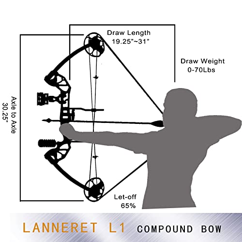 image for PANDARUS Compound Bow Draw 0-70 LB for Pull Beginner and Intermediate 