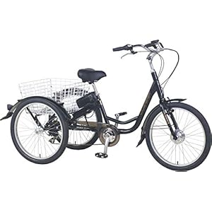 E-Lastenrad „E-Donkey Plus“, 250 Watt, Lastenfahrrad Transport, E Bike, Elektro-Fahrrad, Lastenrad, Lastenfahrrad, Elektro-Lastenrad, Elektro-Lastenfahrrad