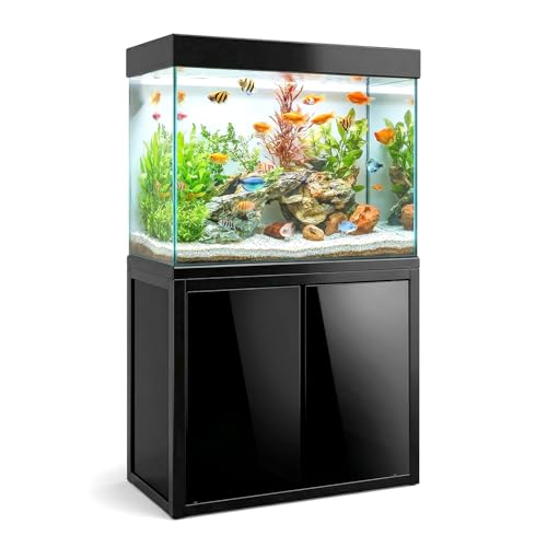 Aqua Dream 100 Gallon