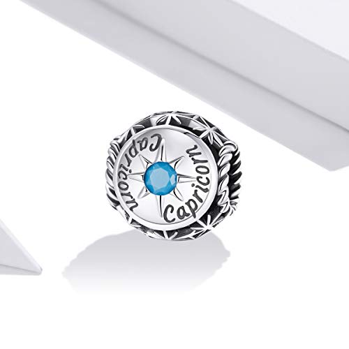 Image of 12 Constellation Charms 925 Sterling Silver Crystal Zircon Charms Family and Friends' Birthday Charm Birthstone Charms for Women Bracelets