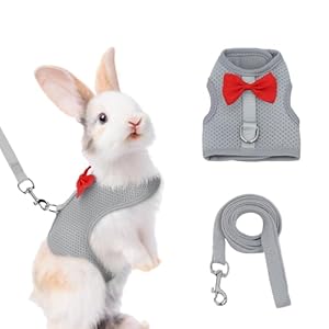 AIITLE Bunny Harness and Leash Set with Cute Bow, Soft Breathable Mesh Vest Harness for Rabbits Kitten Ferret Small Pig Puppy Walking Supplies Grey M