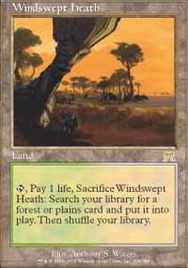 Magic The Gathering - Windswept Heath - Onslaught : Amazon.co.uk