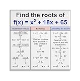 Algebra Quadratic Formula Poster Quadratic Equation Roots 