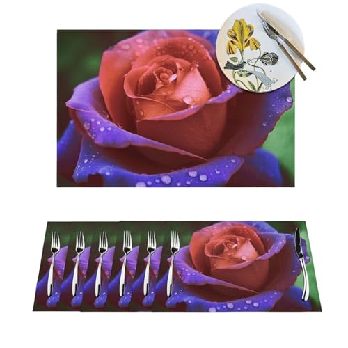 Sets de table résistants à la chaleur et antidérapants pour protéger vos meubles - 2