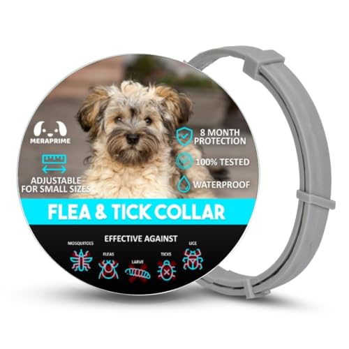 MeraPrime®-Collar Antiparasitario Perros Medianos y Pequeños | Reduce el Riesgo de Leishmania | Collar para Pulgas, Garrapata y Mosquitos | Ajustable 52 Cm, 8 Meses de Protección, Natural, Impermeable