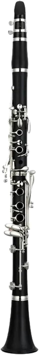 Clarinet B Flat Professional Performance Synthetic Wood(1)