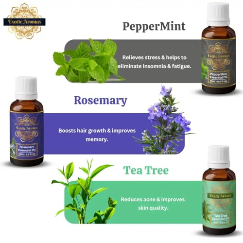 Exotic Aromas Essential Oil Lavender Rose Rosemary Orange Jasmine YlangYlang Tea Tree Eucalyptus Lemongrass Peppermint Lemon Citronella Pack of 12 - Image 5