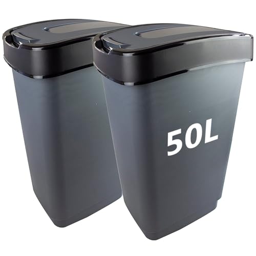 LIVINJA Lot de 2 poubelles avec couvercle basculant - 50 l - 56 x 29 x 39 cm - Couleur : gris/argenté - Fabriqué dans l'UE
