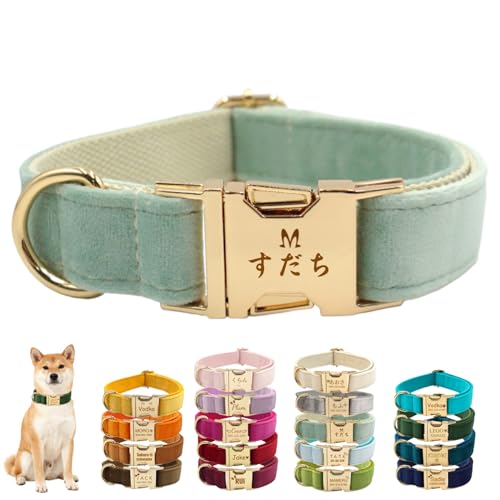 犬用首輪 迷子防止 名前と電話番号レーザー刻印可能 通気クッション 超軽量 プラッシュ 柔らかい 調整可能 5サイズ 小型犬 中型犬 大型犬 猫 おしゃれ 可愛い 蝶結び リード 付属