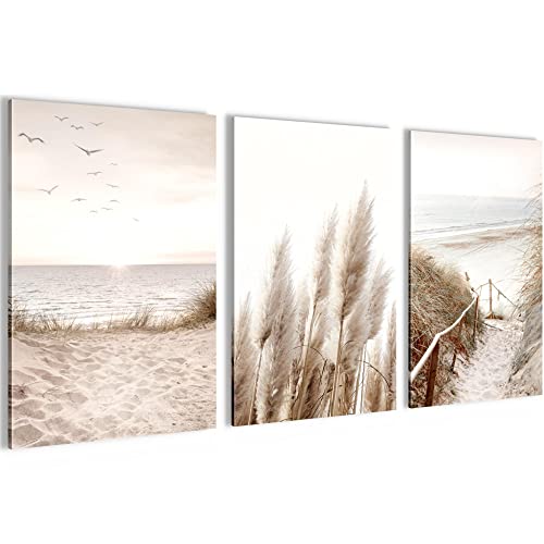 Novart Tableaux Decoration murale Boho Pampasgras Plage Vintage - PAS DE CADRE NÉCESSAIRE - Salon Chambre XXL - N003936a