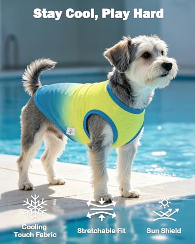 Image of CuteBone Ombre Dog Tank Top for Small Dogs, Cats - Tropical Summer Pet Vest - Breathable Ice Silk Cooling Shirt - Sun Protection, Photo, Casual Play, Walks