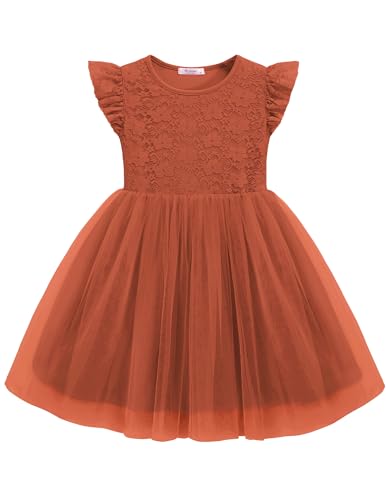 Arshiner Toddler Lace Tutu Dresses Ruffle Sleeve 3 Layers Tulle Flower Wedding Birthday Summer Little Girls Dress