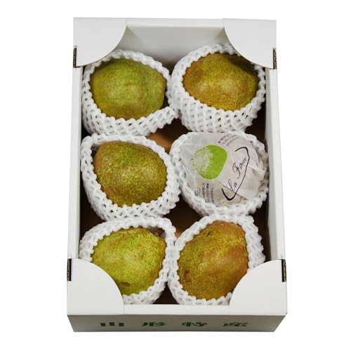 t@[̃EtX 2kg t[c ʕy͂snFz