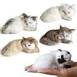 Pack of 5 Realistic Furry Baby Cats Figurines Simulation Kittens Home Office Car Decorative Statue Synthetic Little Pet Stuffed House Animal Kitties Replica Photo Props Collectible Gift