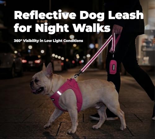 Image of Voyager Reflective Dog Leash with Neoprene Handle, 5ft Long, Supports Small, Medium, and Large Breed Puppies, Cute and Heavy Duty for Walking, Running, and Training - Fuchsia, S