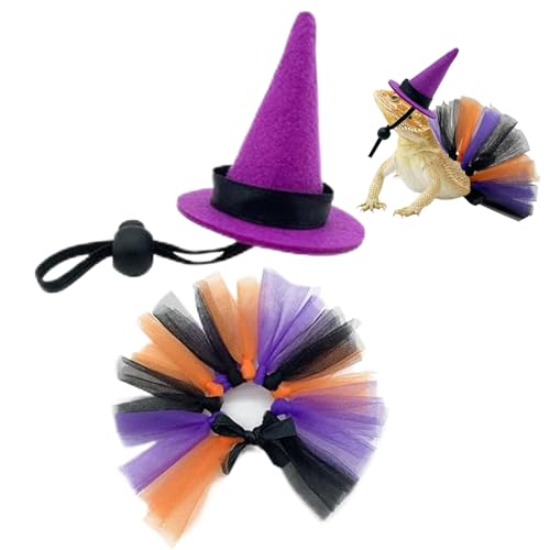 nEBRX`[ | ̖XqƑXJ[g 1  | 5.8*5.8*8.5 Cm ঒ށAށA^ybgp̕Ap[eB[ARXvAʐ^BeɍœKAy