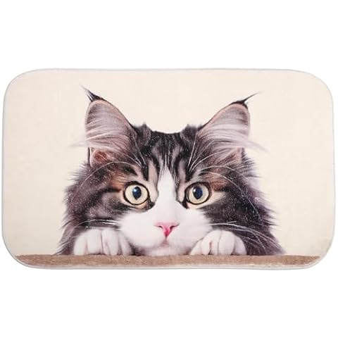 HYSINSE Tapis Antidérapant 80x50cm Cover