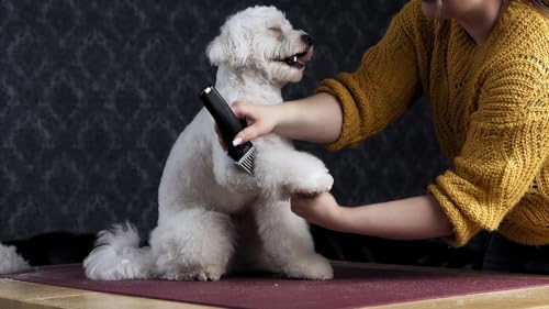 Rotschopf24 Edition: Akku Schermaschine Arco Pro für Wahl Hundeschermaschinen Liebhaber, ein XL Akku + 8 Metallaufsteckkämme + Tasche. Automatische Drehzahlegelung. Leise & leicht. 44204