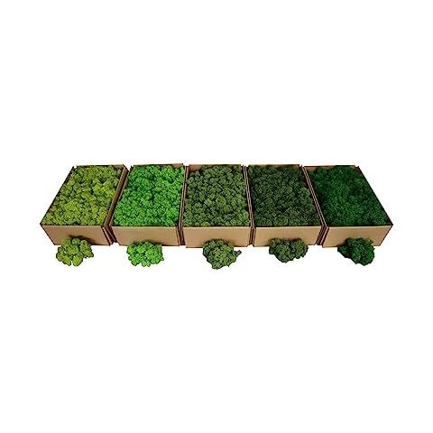 Mousse préservée Hello Moss Islandmoos 0,5 kg Cover