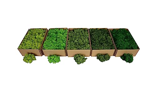 Hello Moss musgo noruego 0,5/1 kg - musgo en muchos colores - musgo enlatado vivo totalmente ecológico - musgo decorativo