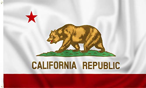 PMLAND 3x5 feet California State Flag - Printed Vivid Color Quality Polyester Flag Indoor Outdoor