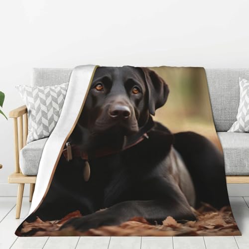 Couverture légère climatisation labrador contre les nuits fraîches sur lit - 2