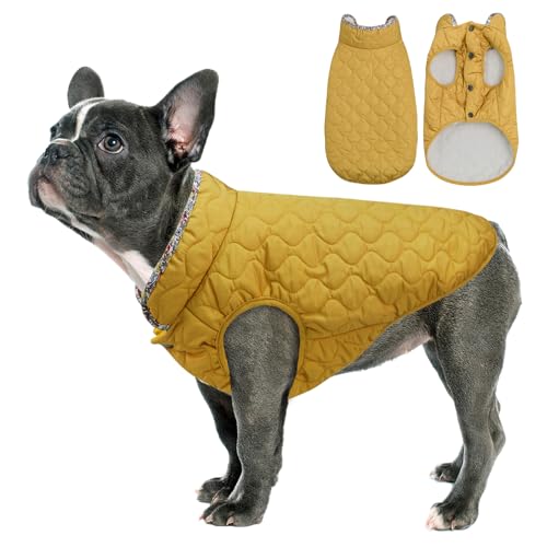 Tinsin  ~ ȕ h ybg~p WPbg ^ ^ ^   R[g h h Gh~ m g  L Ȃ EȒP ?O ΍ h~ U 蕨 NX}Xv[g